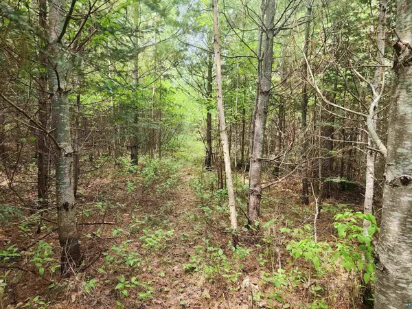 XXX Cascade Bluffs, Grand Marais, MN 55604