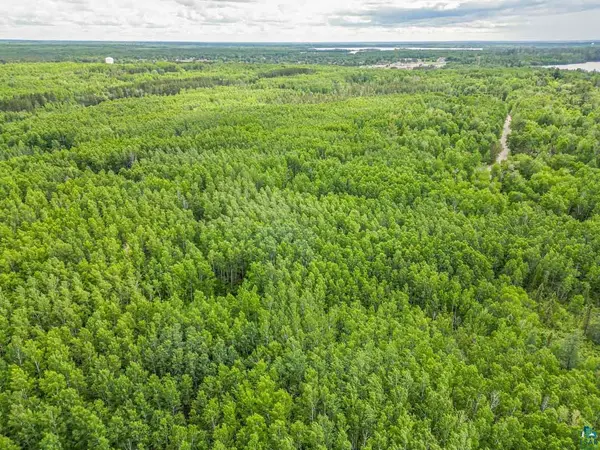 TBD County Rd 665, Hoyt Lakes, MN 55750-0000