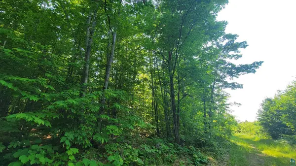 E Half Mile Rd, Herbster, WI 54844