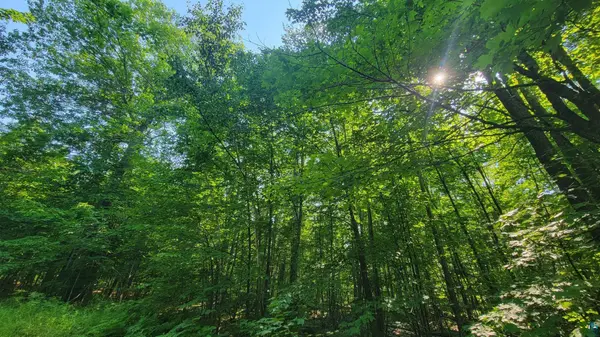 E Half Mile Rd, Herbster, WI 54844