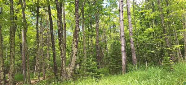 xxx South Shore Rd, La Pointe, WI 54850