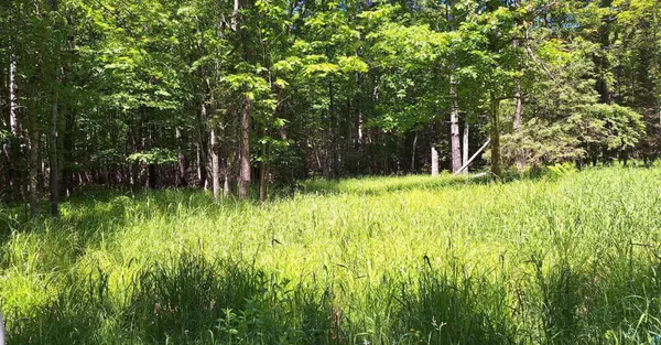 xxx South Shore Rd, La Pointe, WI 54850