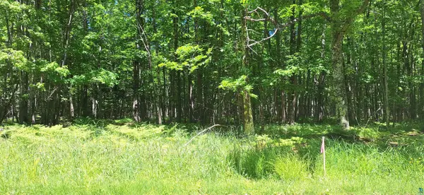 xxx South Shore Rd, La Pointe, WI 54850
