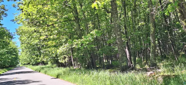 xxx South Shore Rd, La Pointe, WI 54850