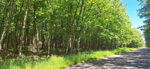 xxx South Shore Rd, La Pointe, WI 54850