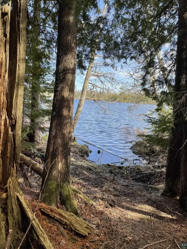 9326 Maple Ridge Rd, Finland, MN 55603