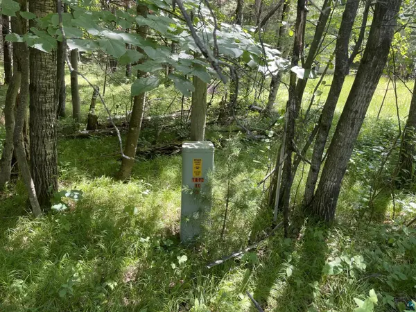 XXXX Kolling Rd, Iron River, WI 54847