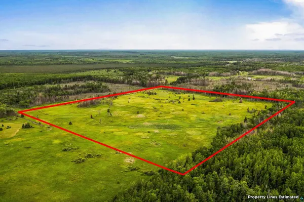 79xx Munger Shaw Rd, Canyon, MN 55717