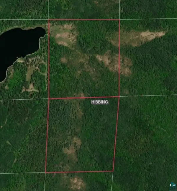 XXX S Town Line Rd, Hibbing, MN 55746