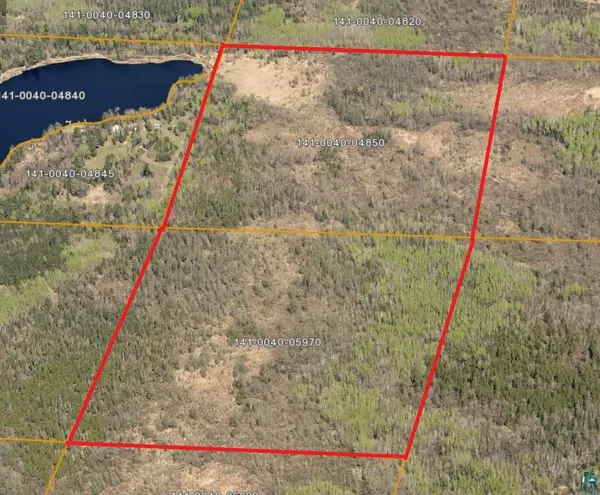 XXX S Town Line Rd, Hibbing, MN 55746