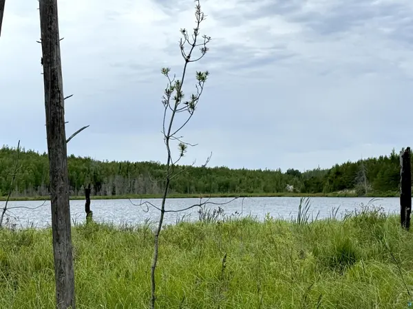 TBD Onagon Lake Rd, Grand Marais, MN 55604