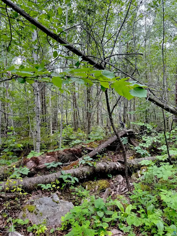 TBD Onagon Lake Rd, Grand Marais, MN 55604