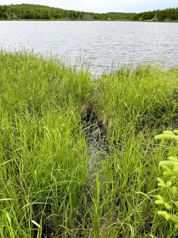 TBD Onagon Lake Rd, Grand Marais, MN 55604