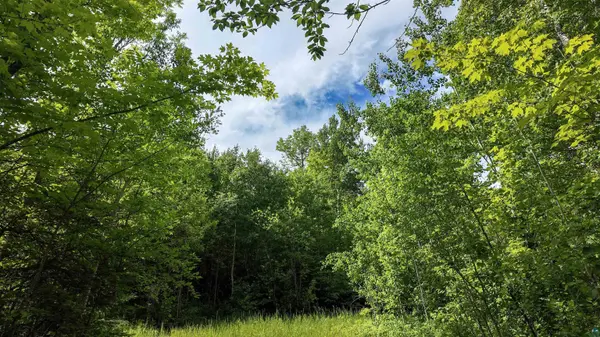 760 Caspers Hill Rd, Grand Marais, MN 55604