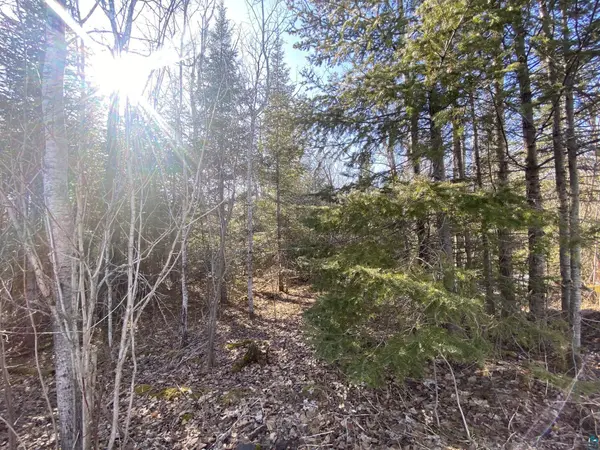 XXC Pine Peak Rd, Lutsen, MN 55612