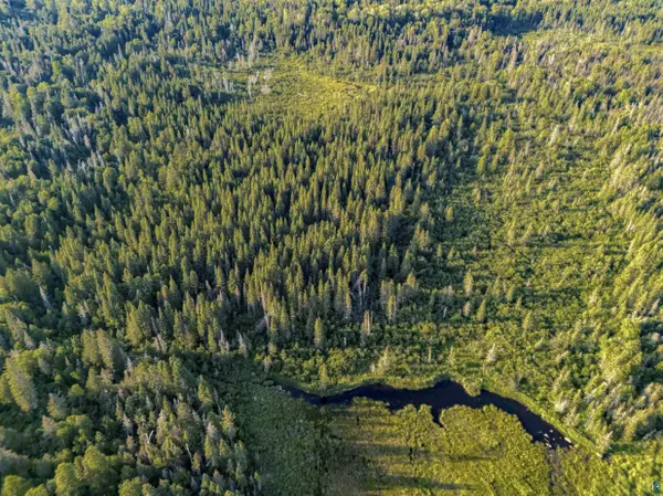 TBD Hoist Lake Rd, Finland, MN 55603
