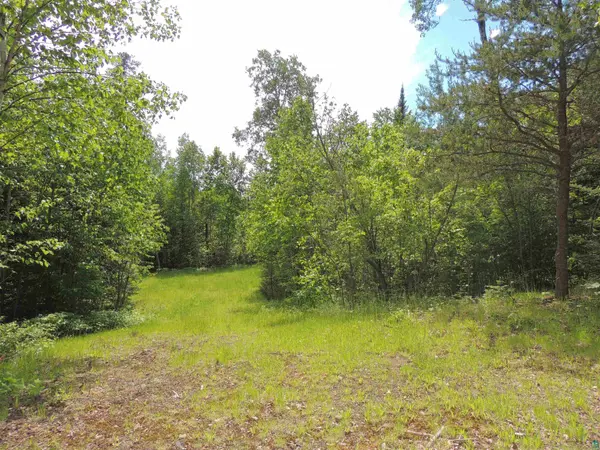 15XB Greenwood Lake Rd, Grand Marais, MN 55604
