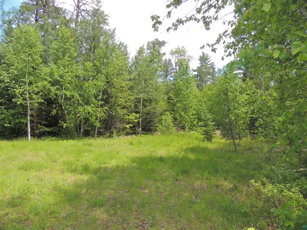 15XB Greenwood Lake Rd, Grand Marais, MN 55604