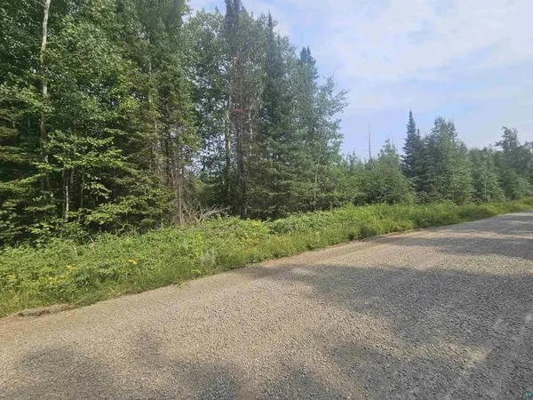 99999 Comet Rd, Embarrass, MN 55732