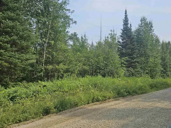99999 Comet Rd, Embarrass, MN 55732