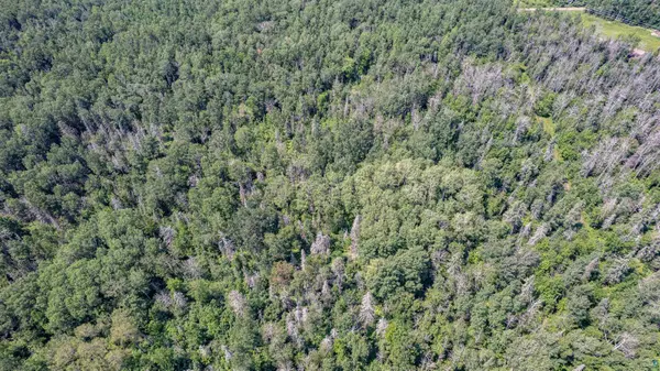 TBD S Cant Rd, Duluth, MN 55804