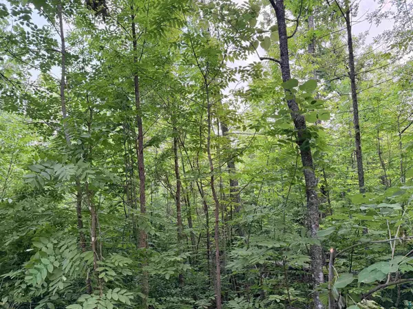 TBD Old Ferry Rd, Hinckley, MN 55037