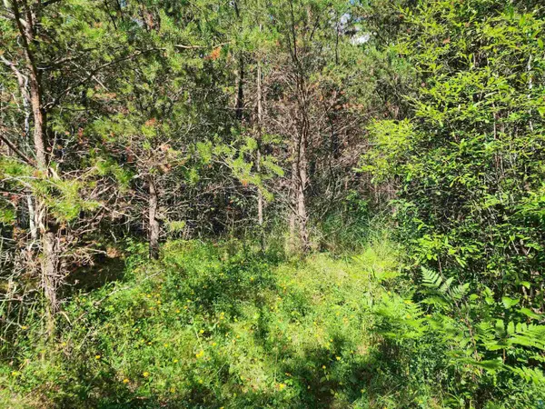 12010 Gunflint Tr, Grand Marais, MN 55604