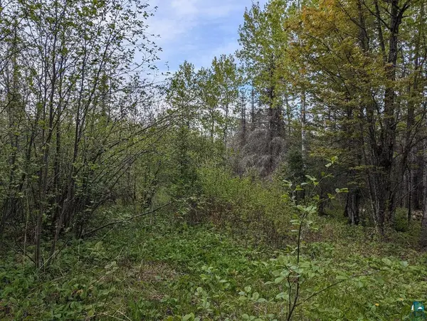XX37 W Lismore Rd, Duluth, MN 55803