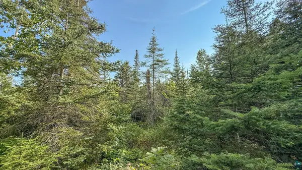 XXX1 Mink Ranch, Lutsen, MN 55612