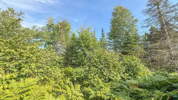 XXX1 Mink Ranch, Lutsen, MN 55612