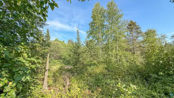 XXX1 Mink Ranch, Lutsen, MN 55612
