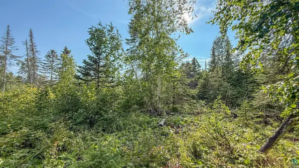 XXX1 Mink Ranch, Lutsen, MN 55612