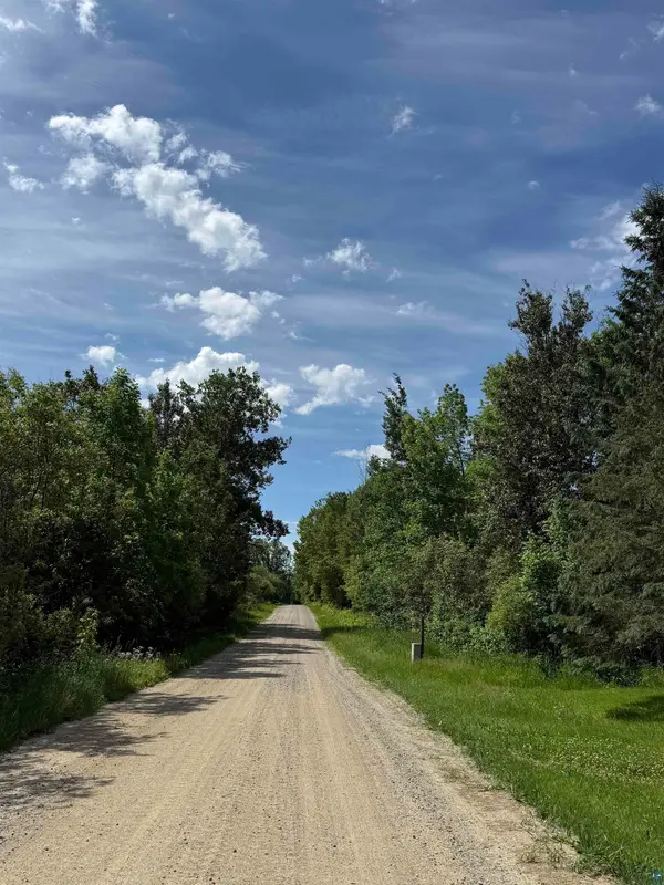 Lot 1 Parameter Rd, Deer River, MN 56636