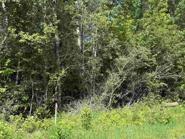 Lot 2 Parameter Rd, Deer River, MN 56636