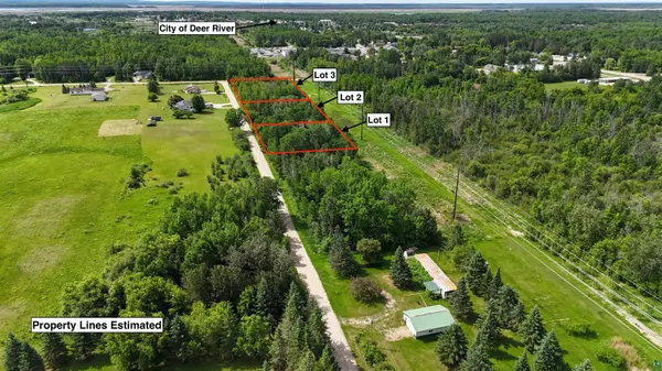 Lot 3 Parameter Rd, Deer River, MN 56636