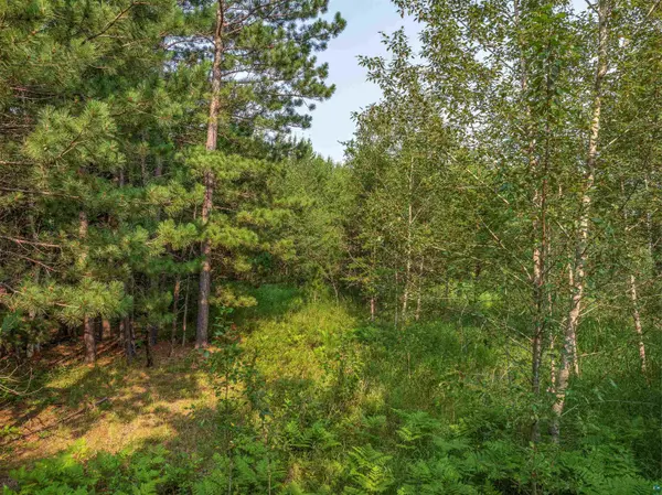 Tract A Highway 21, Babbitt, MN 55706-0000