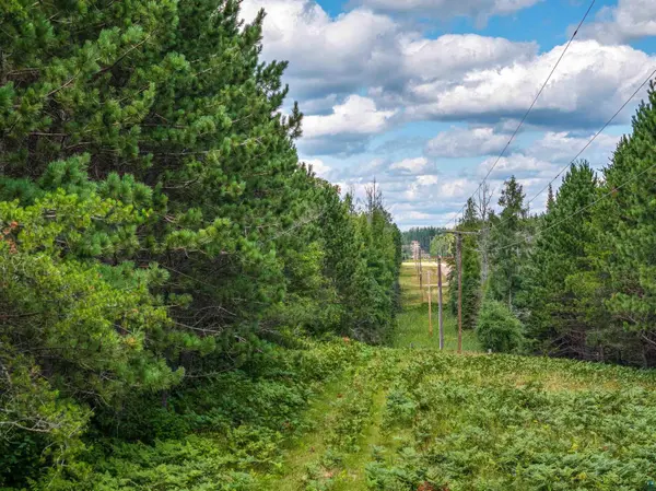 Tract C Highway 21, Babbitt, MN 55706-0000