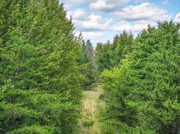 Tract D Highway 21, Babbitt, MN 55706-0000