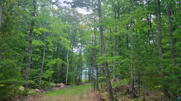 8855x Turner Rd, Bayfield, WI 54814