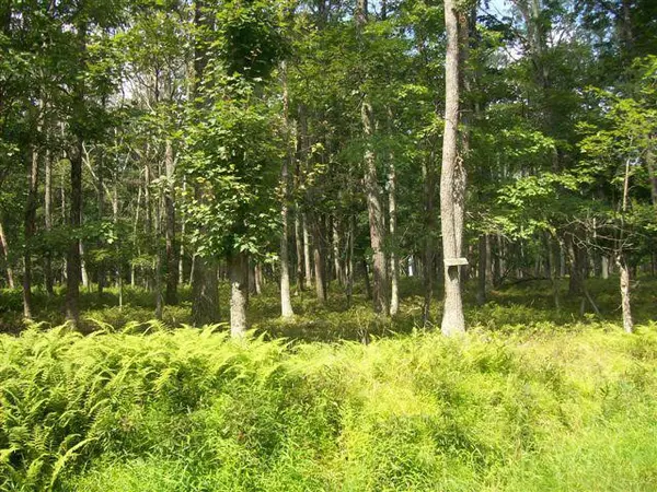 LOT 3502 WALTON WAY, Milford, PA 18337
