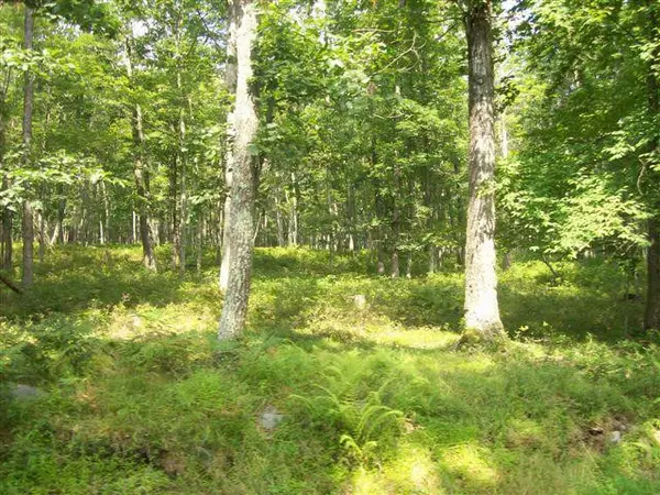 LOT 3502 WALTON WAY, Milford, PA 18337