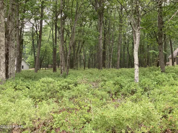 202 Maple Ridge DR, Lords Valley, PA 18428