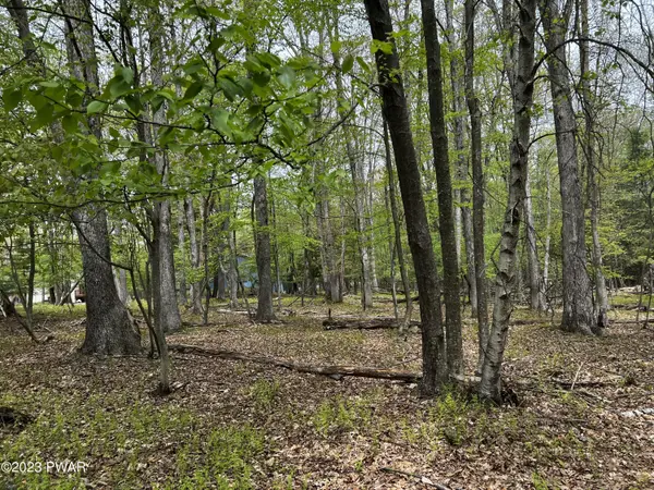 Lot 539 Paper Birch North, Tafton, PA 18464