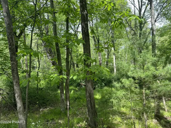Cummins Hill, Milford, PA 18337