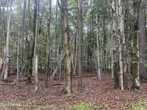 Oakwood DR, Greentown, PA 18426