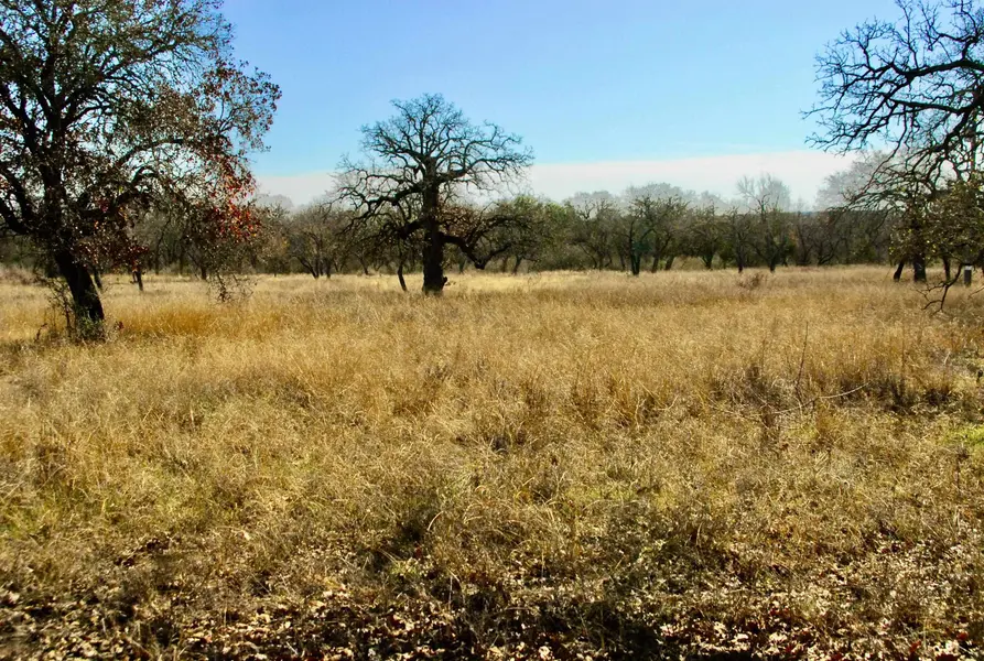 lot 4 Los Encinos, Marble Falls, TX 78654