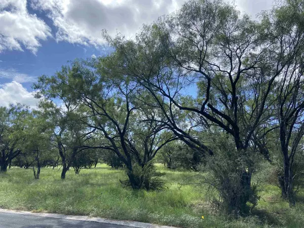 Lot 9002B/9003A Springfield, Horseshoe Bay, TX 78657