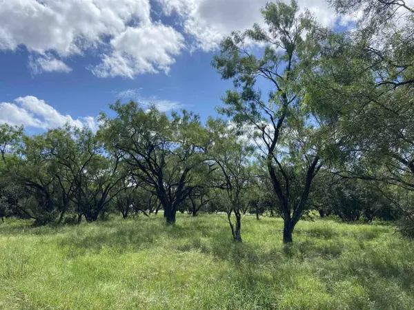Lot 9002B/9003A Springfield, Horseshoe Bay, TX 78657