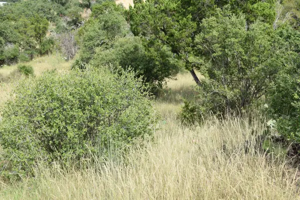 Lot 4101 Clayton Nolan, Horseshoe Bay, TX 78657-6050