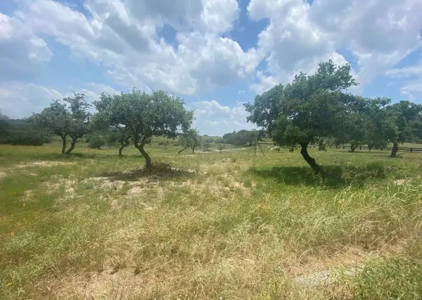 1301 Saddlebrook Canyon Ct., Spicewood, TX 78669